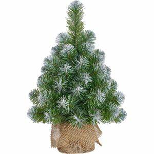 Black Box Norton Frosted Kerstboompje Groen met Sneeuw Details 60cm | Kunstmatige Kerstboom met Frosted Effect Kerstbomen Black box